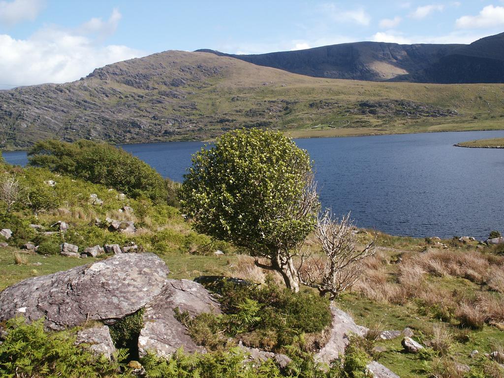 Bru Na Dromoda/Dromid Hostel Killeenleagh Bridge المظهر الخارجي الصورة